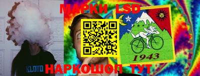 шишки Ирбит