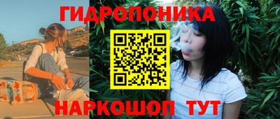 шишки Ирбит
